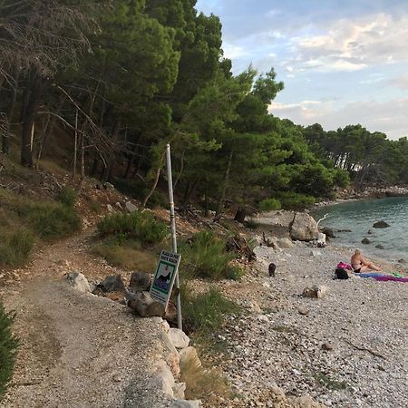 Blue Shell Trogir Apartment Rum bild
